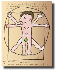 drawing of vitruvian man